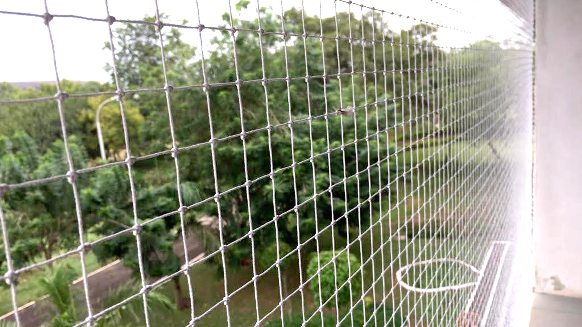 Anti Bird Netting Service, Call 9900706045